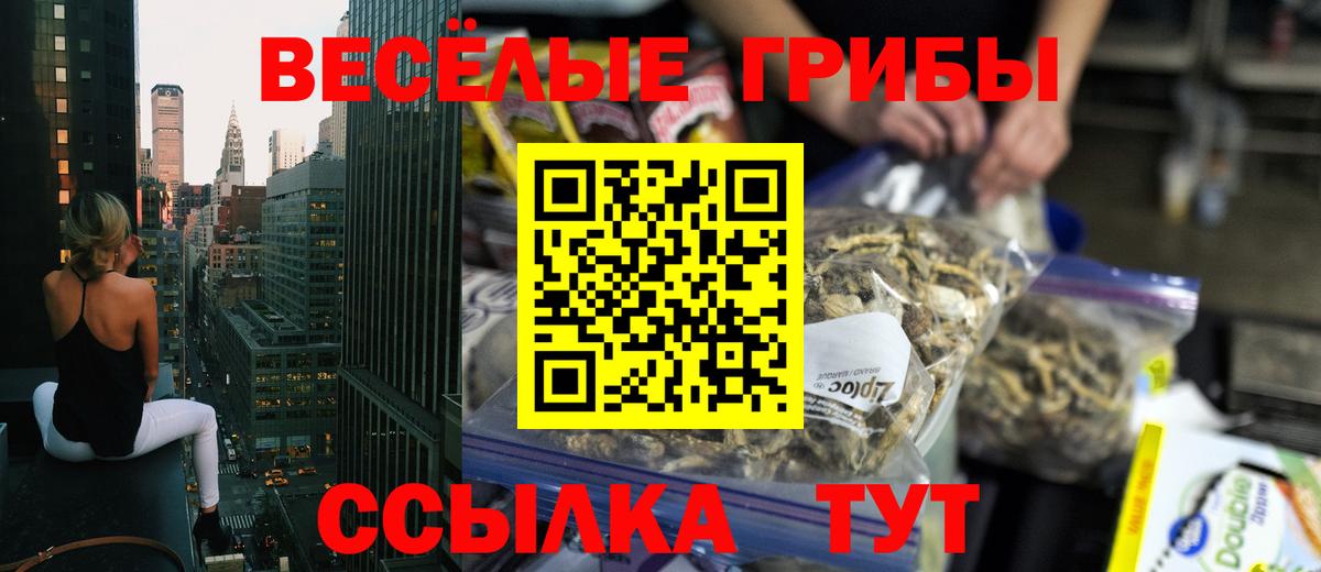 Галлюциногенные грибы мицелий  Вход с VPN  Галлюциногенные грибы GOLDEN TEACHER  Белореченск 